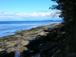 Story/Technical Portrait Image