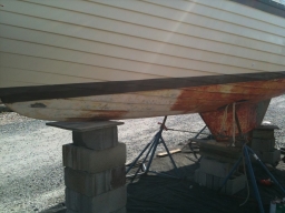 Story/Technical Portrait Image