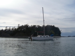 Story/Technical Portrait Image